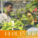 Hamidou Horticulture Plant Sale