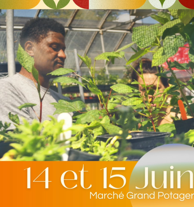 Hamidou Horticulture Plant Sale